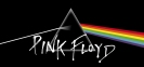 Чашка PINK FLOYD Dark Side Of The Moon 0